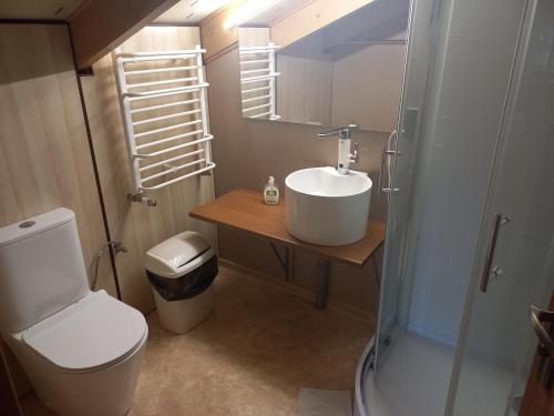 a bathroom with a sink and a toilet and a shower at Pokoje Gościnne Jaga in Kielce