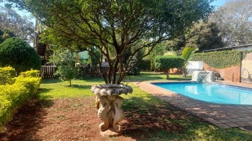 a tree in a planter next to a swimming pool at Sol & Sombra Guesthouse in Komatipoort