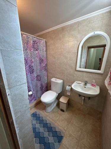 a bathroom with a toilet and a sink and a mirror at Analipsi Village House in Análipsis