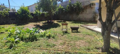 a garden with a garden hose in the yard at Casa de Férias Privada in Amares