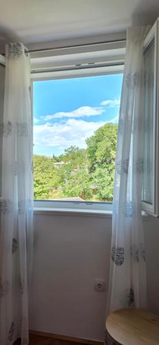 Apartment Paeonia