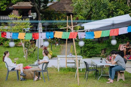 Clientes alojados en The Yard Hostel Chiang Mai