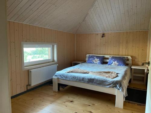 タターリウにあるПанорама Маґура 3кの青いシーツのベッドと窓のある寝室