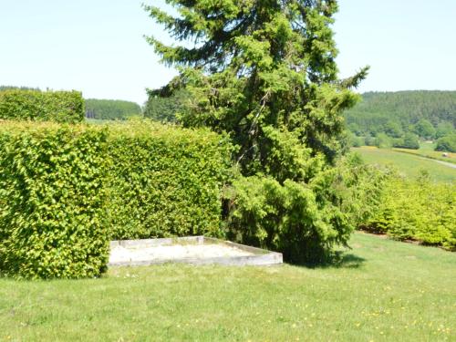 a hedge with a bench in the middle of a field at Family Apartment Bouillon and Semois River in Gros-Fays
