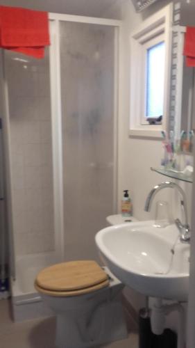 a bathroom with a shower and a toilet and a sink at Jachtslot Chalet J8 in Doornspijk