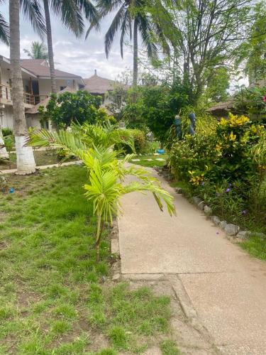 a palm tree next to a sidewalk in a yard at Oasis beach resort in Cape Coast