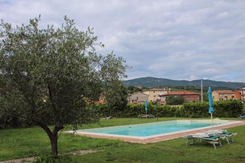 a swimming pool with two chairs and a tree at Appartamento Vacanze Magnolia e Glicine in Tuoro sul Trasimeno