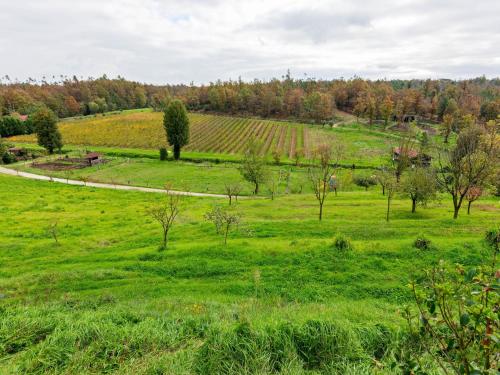 a field of green grass with trees in the background at Cozy Tuscan Getaway in Le Vedute