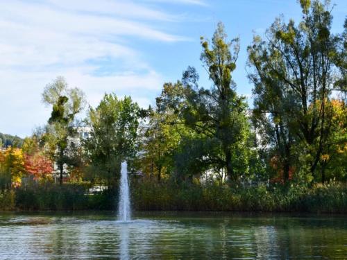 a fountain in the middle of a pond at Ferienhaus in Saldenburg mit Sauna in Saldenburg