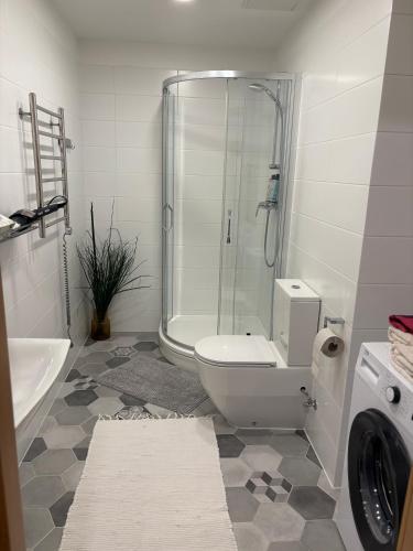 Et badeværelse på Apartment Upeņu