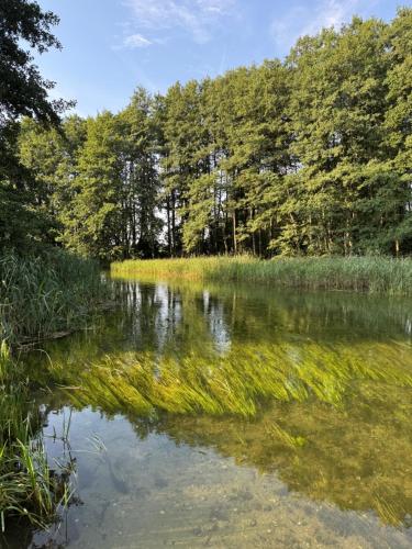 a body of water with trees in the background at Folwark Hańcza in Wigry