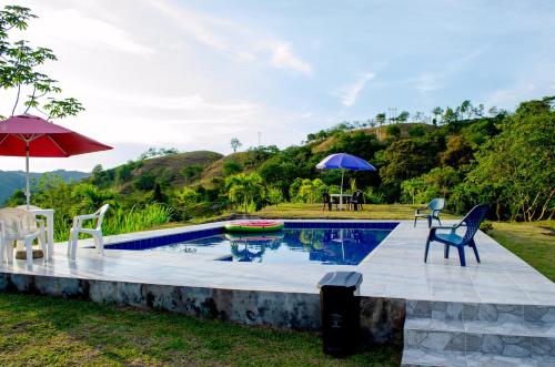 a pool with chairs and umbrellas in a yard at Finca La Margarita in Alcalá