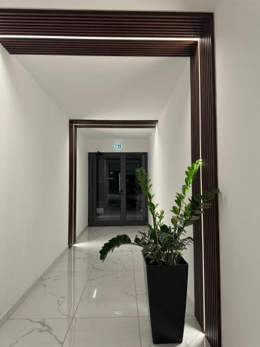Fotografie z fotogalerie ubytování Mall View Modern PentHouse v destinaci Larnaka
