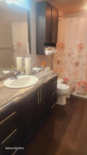 a bathroom with a sink and a toilet at Private home in Prince Albert