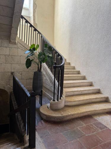 a staircase with a potted plant next to a building at L'Amirauté sur Baïse in Saint-Jean-Poutge