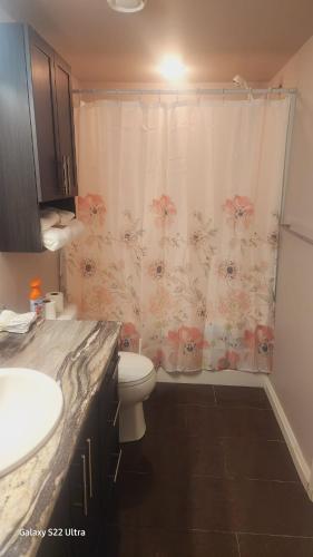 a bathroom with a toilet and a shower curtain at Private home in Prince Albert