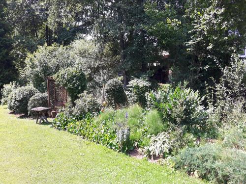 Taman di luar Sellerich Forest Hideaway