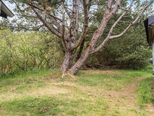 a tree sitting in the grass next to a field at Secluded Retreat by Limfjorden - By Traum Ferienwohnungen in Sindrup