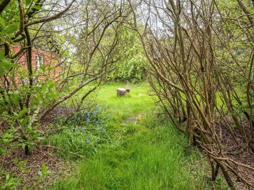 a bench sitting in the middle of a field with trees at Secluded Retreat by Limfjorden - By Traum Ferienwohnungen in Sindrup