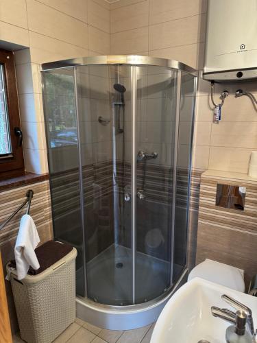 une douche dans une salle de bains avec lavabo et toilettes dans l'établissement Ceglana Przystań - Apartamenty i Domek Pogorzelica, à Pogorzelica