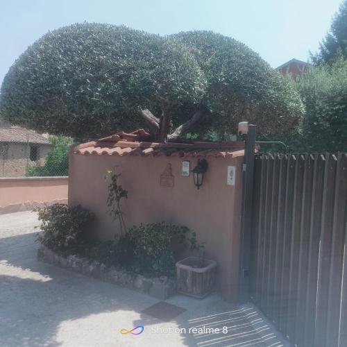 a small building with a tree on top of it at La Dimora Di Ale in Monterosi