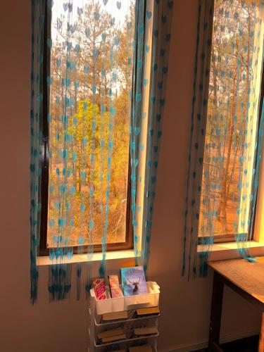 a window with curtains and books in front of it at XTSY Economy Dorms & Rooms in Shillong