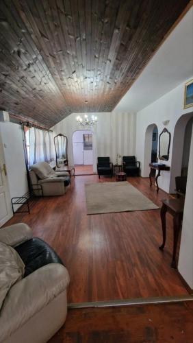 a living room with a couch and a wooden ceiling at Vila Blue Mountain Lake in Ledinci