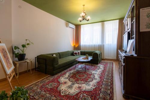 a living room with a green couch and a rug at Grape Apartment Studio in Rahovec