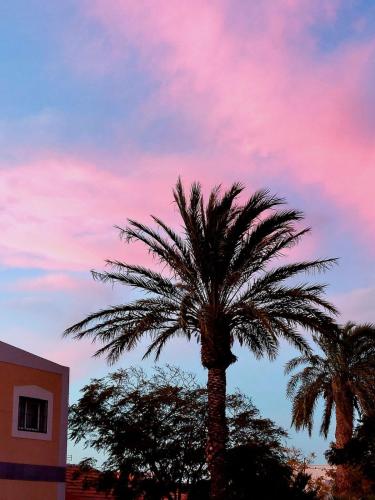 two palm trees in front of a cloudy sky at Llano del Beal in El Descargador