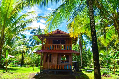 Сад в Cuevita Paradise Lodge