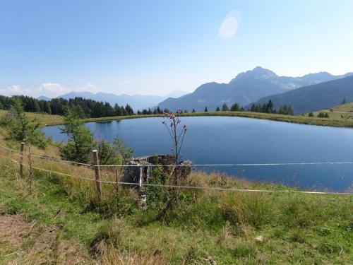a fence next to a lake with mountains in the background at Freddys Gästehaus mit 3 Schlafzimmer in Dellach