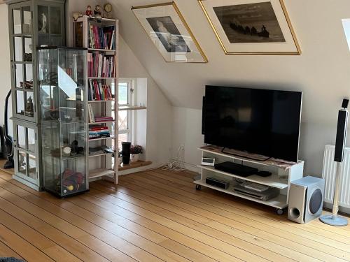 a living room with a flat screen tv and a book shelf at Stor lejlighed i landlige omgivelser in Bækmarksbro