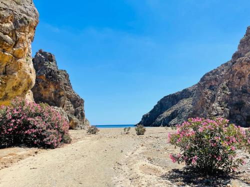 a beach with pink flowers and rocks and the ocean at Meer an Oliven in Agia Galini