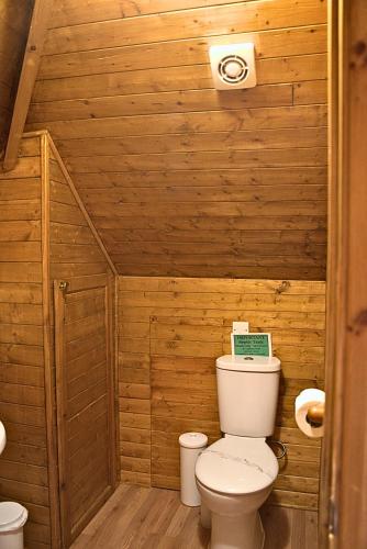 a bathroom with a toilet in a wooden wall at Glyndley Manor Cottages in Polegate