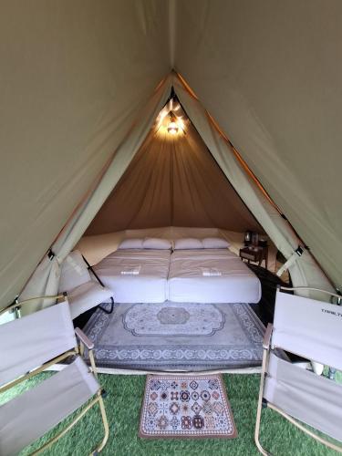 a tent with two chairs and a bed in it at Dieng Latar Alam Tambi Syariah in Kejajar