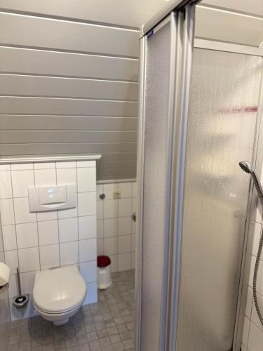 a bathroom with a toilet and a shower stall at Schwarzwald Hotel Wiedenerhof in Wieden