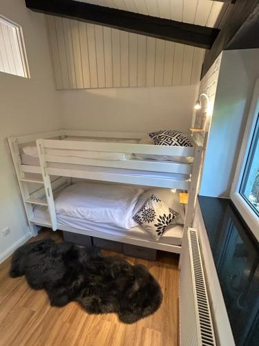 a room with a bunk bed with a rug on the floor at Direkt am See mit privatem Sandstrand in Güster