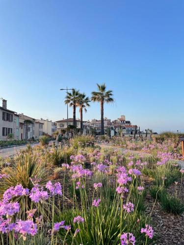 2 Bedroom Flat with Garden in Antibes