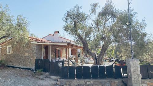 Lithos Estate Plomari