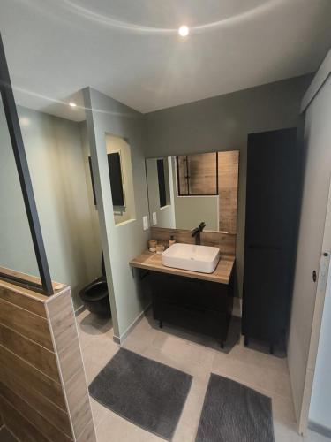 a bathroom with a sink and a large mirror at Studio meublé Rosieres in Rosières