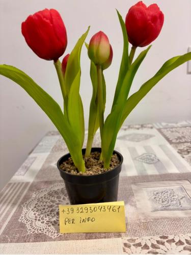 a plant in a pot sitting on a table with a note at Comfort Cher a Cadorago in Fino Mornasco