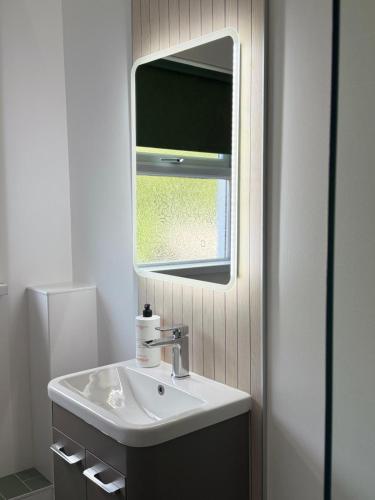 un baño con lavabo y espejo en Ty Gwyn, en Troed-y-rhiw