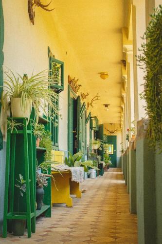 Tradicionalna Kuća Biljkinog oca