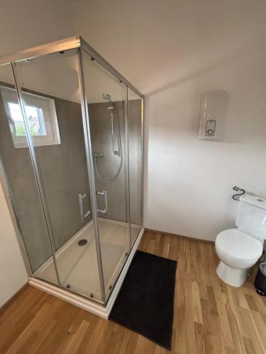 a bathroom with a shower and a toilet at Chalet Ruhrtal Meschede Freienohl mit Parkplatz und Klimaanlage in Meschede