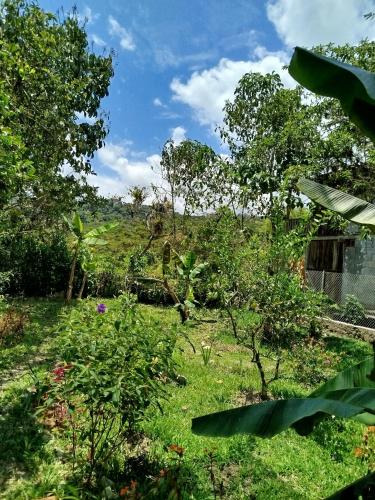 Ảnh trong thư viện ảnh của Larita's MINDO Hospedaje y casita de Campo Los Guayabales ở Mindo