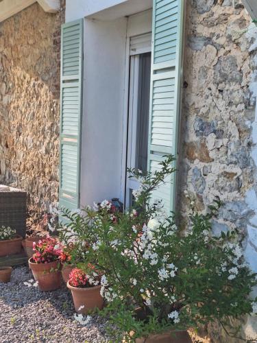 a window with green shutters on a building with potted plants at La buganvilla en Udias alojamiento in Comillas