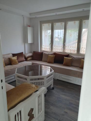 a living room with a couch and a coffee table at appartement avec beau jardin in Blois
