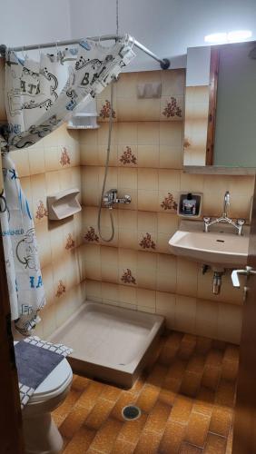 a bathroom with a shower and a sink and a toilet at Filippos Apartments "Apartment 1" in Kefallonia