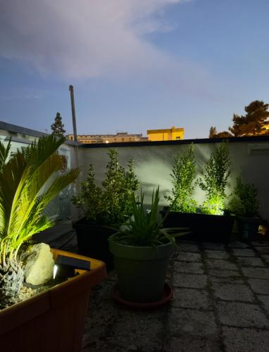 a row of potted plants on a patio at night at Residenza 1930 in Matera