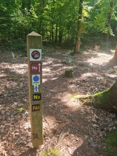 a sign on a trail in the woods at Emstaler Auszeit in Bad Emstal
